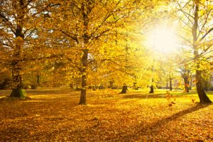 Trotz Herbstblues – auch die Schmuddelwetter-Jahreszeit hat ihre sonnigen Seiten.