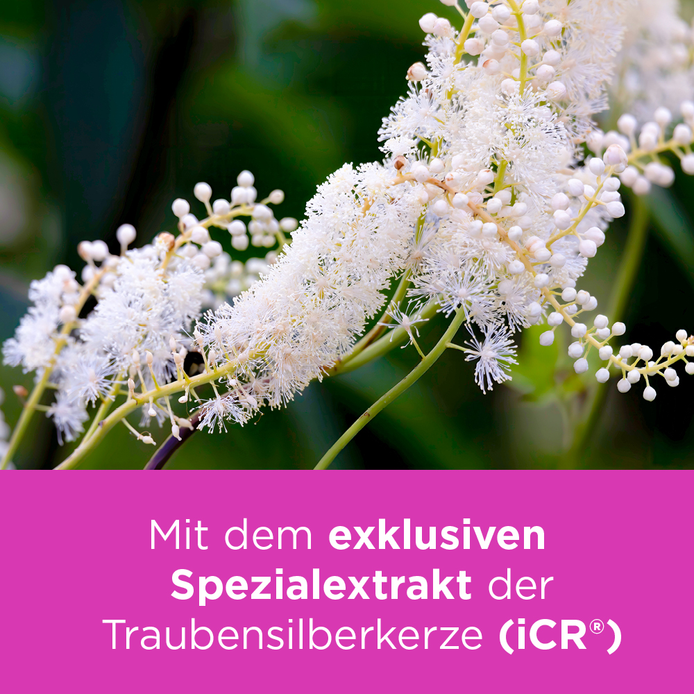 Produktvorschaubild